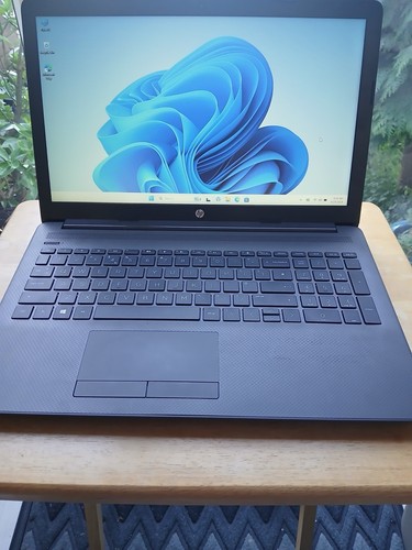 255 laptop windows 11 - hp,